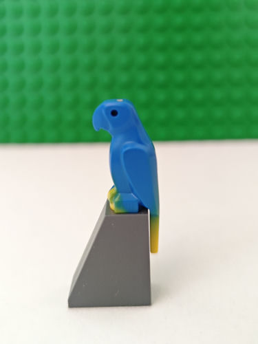 Bird, Parrot 27063pb01