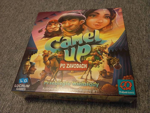 Camel up Po zawodach 