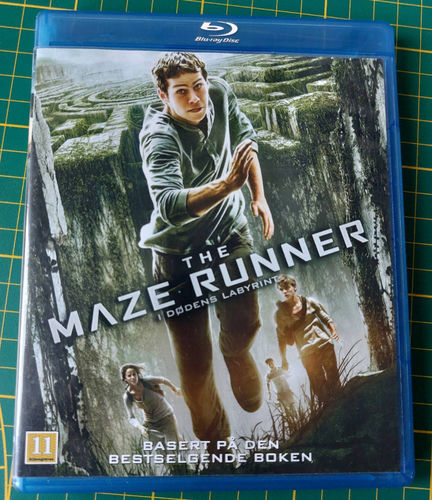 The Maze Runner