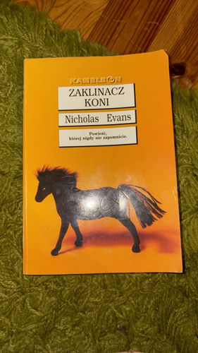 Zaklinacz koni 