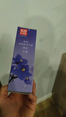 Klocki Mould King Flower world