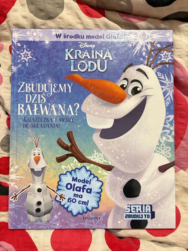 Kraina lodu