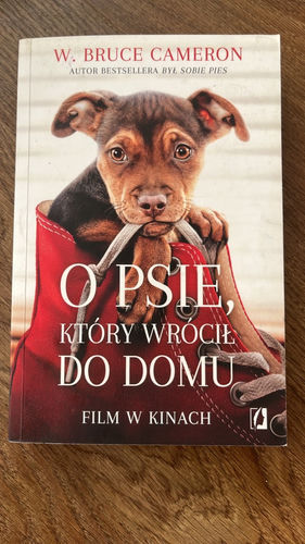 O psie, który wrócił do domu