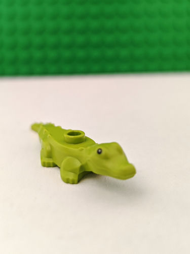 Alligator / Crocodile Baby 78532pb02
