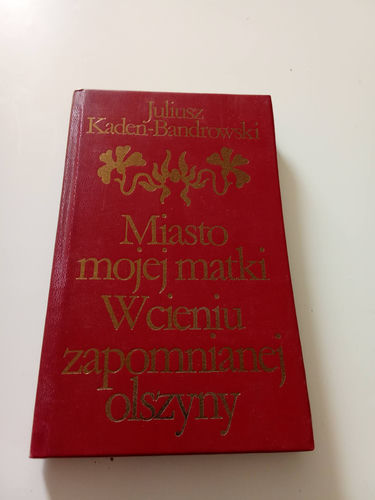 Miasto mojej matki. W cieniu zapomnianej olszyny - J. Kaden-Bandrowski