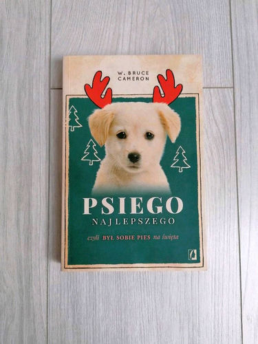 Psiego najlepszego czyli Był sobie pies na święta