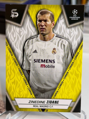 Topps UEFA Champions League trading card featuring Zinedine Zidane, card 193