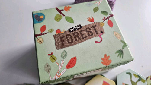 Zestaw: Memo Forest +1