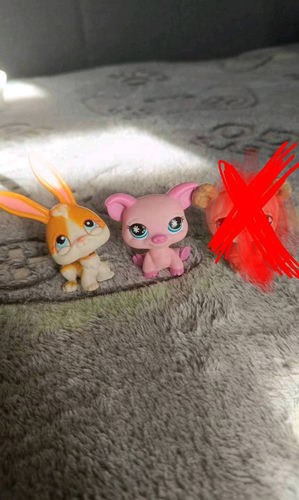 Figurki littlest pet shop na wymienię 